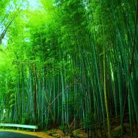 初日に終えて・・・