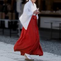 神様と神主先生と時々巫女ばなし