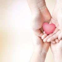 ご縁は続く感謝と共に!そしてかえで。的実践実感の思いから♪