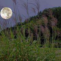 満月の過ごし方