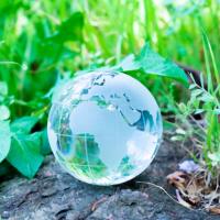 地球からいただくありがたいパワーフードとパワードリンク♪