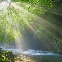 2021年ありがとうございました!