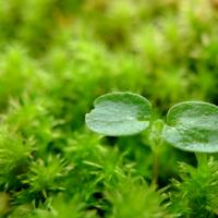 2022年に気をつけたいこととは?