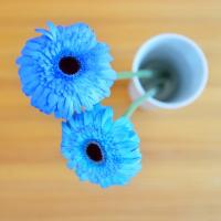 化学では説明できない不思議な体験小話