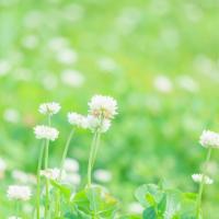 季節の変わり目は区切りを意識してみる