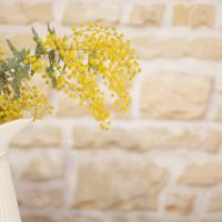 季節の変わり目に心と体の整えセッション♪