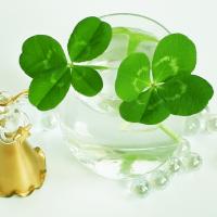 知って得する輝く未来への深層心理♪