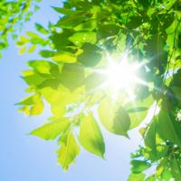 伝えたい【光】