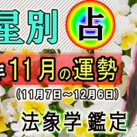 九星別・2022年11月の運勢&開運方法