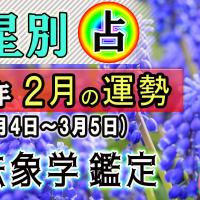 九星別・2023年、2月の運勢&開運方法