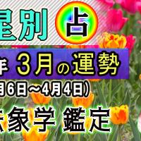 九星別・2023年、3月の運勢&開運方法