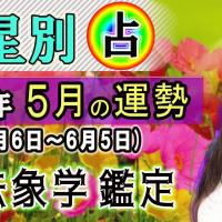 九星別・2023年、5月の運勢&開運方法