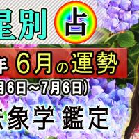 九星別・2023年、６月の運勢&開運方法