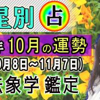 九星別・2023年、10月の運勢&開運方法