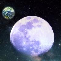 From Unverse to Multiverse (ユニバースからマルチバースへ)