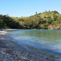 2024年・目指せ!充実の島生活!
