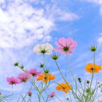 カンタン瞑想で、苦手も克服