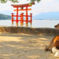 みんな大好き「開運」について