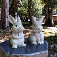 間ぬけがええねん!