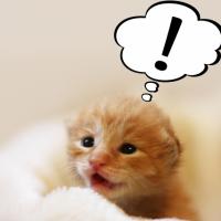 サインは必ず発信されています
